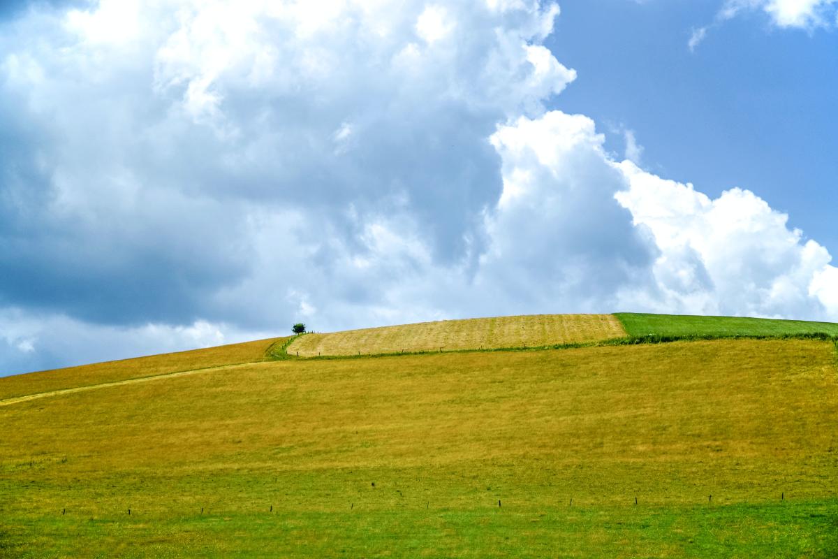 Green grass and empty farmland with cloud skies above.