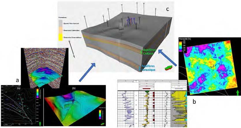 Regional fault traces at surface, 2D seismic lines and top Cretaceous map. 