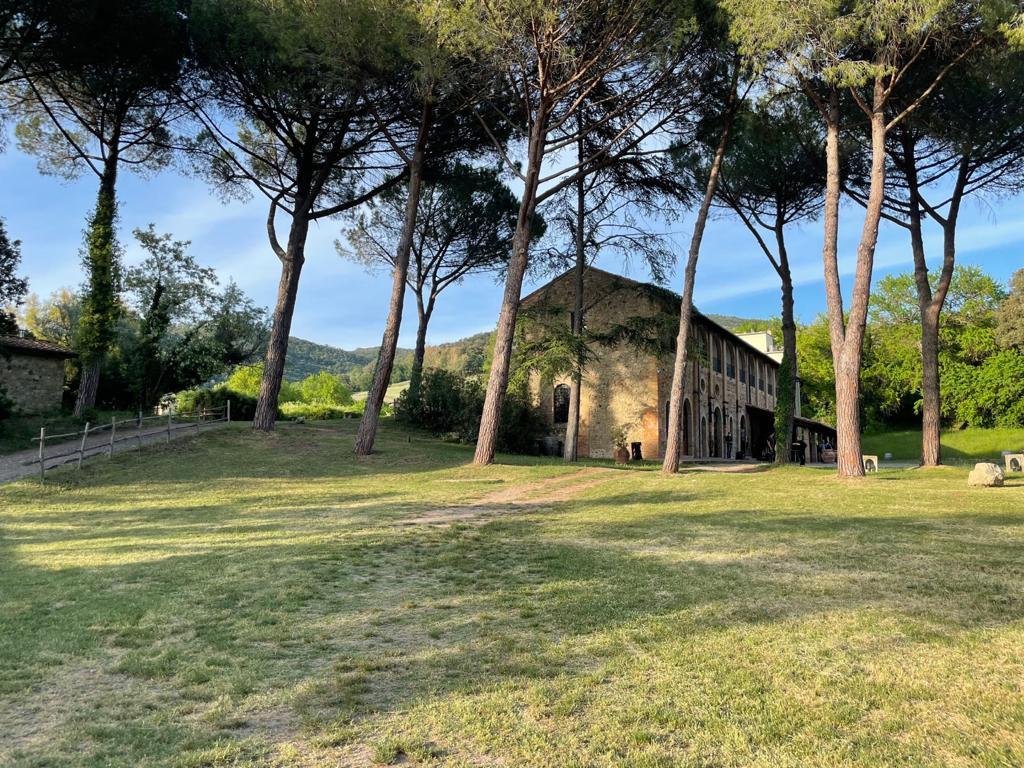 Metalliferous Hills in Tuscany