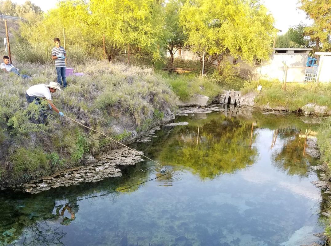 Water sampling at the main thermal spring of the zone.