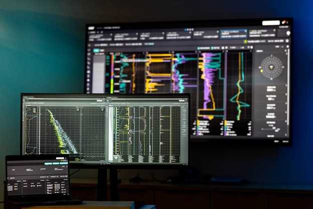 The WellData 4.0 information system