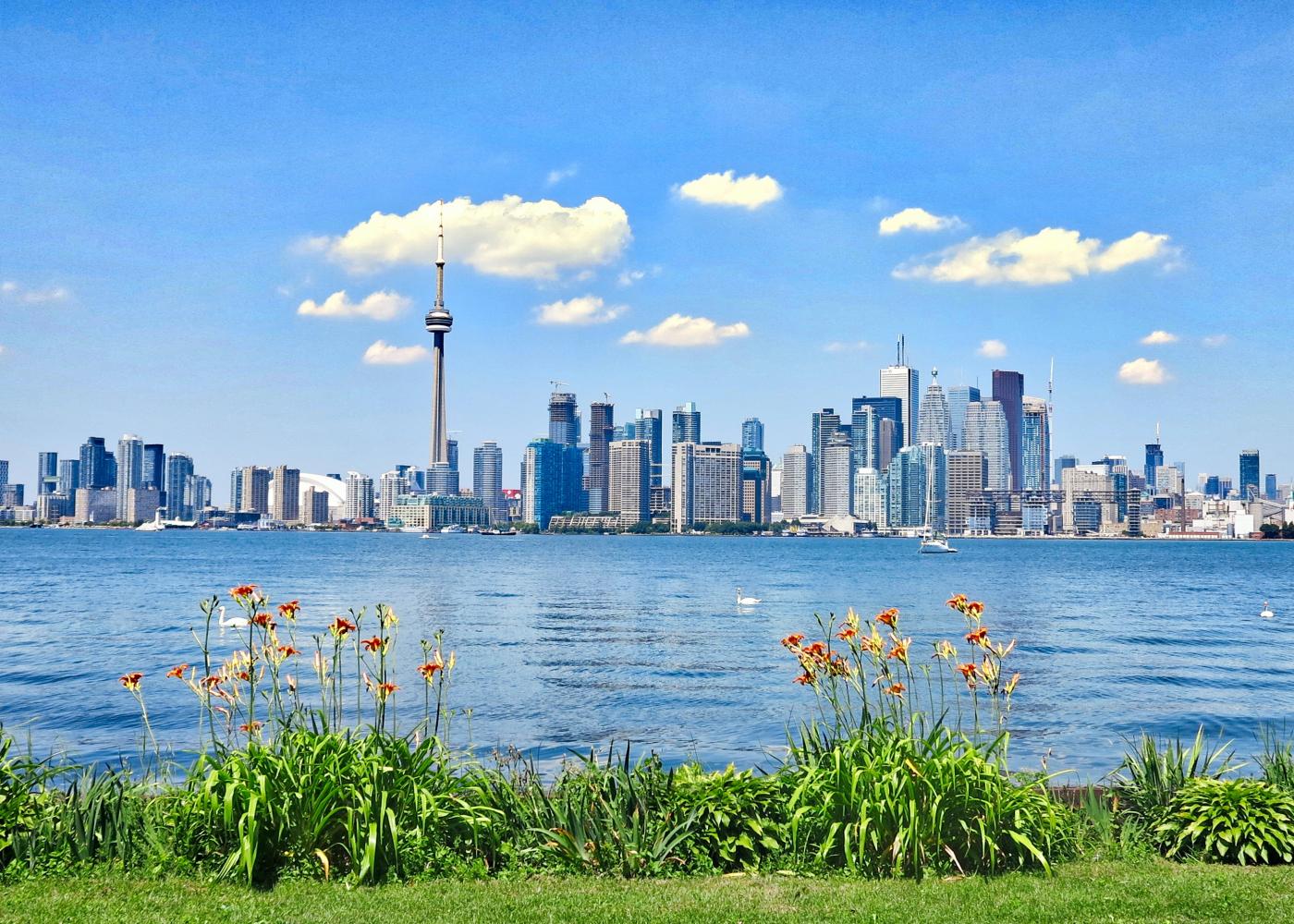 A photo of downtown Toronto with the CN Tower in the background, taken from across Lake Ontario.