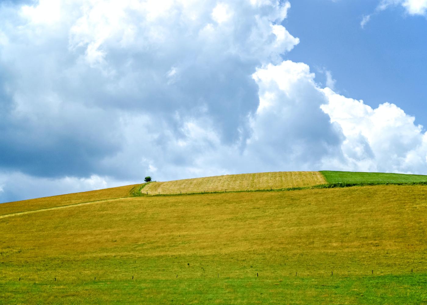 Green grass and empty farmland with cloud skies above.
