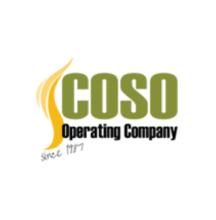 COSO Logo