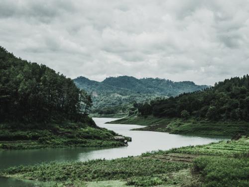 Lush green jungle with a river running through it and cloudy skies above.