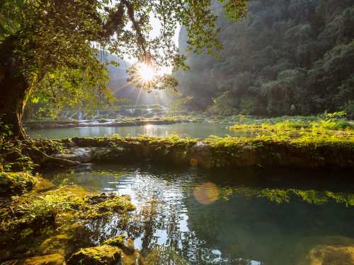 Nature photograph of greenery and ponds with small waterfalls in the background