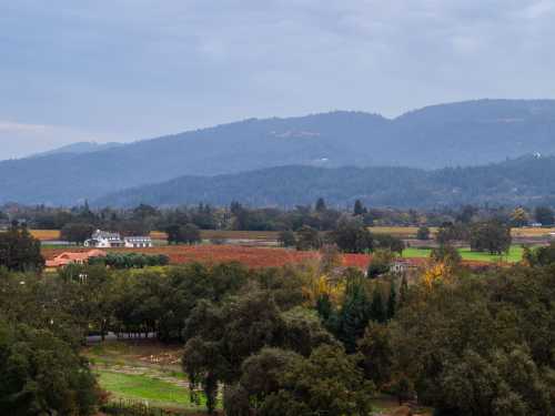 Stock photo of Calistoga, CA